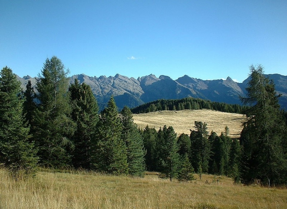 Údolí Val di Fiemme